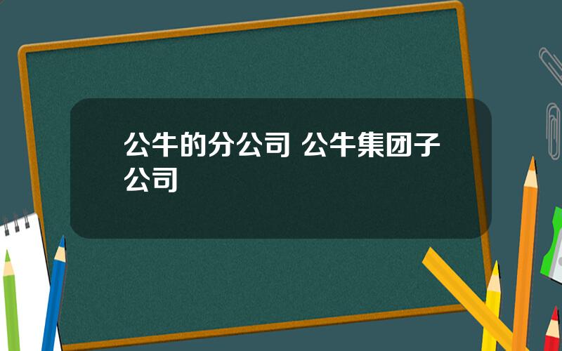 公牛的分公司 公牛集团子公司